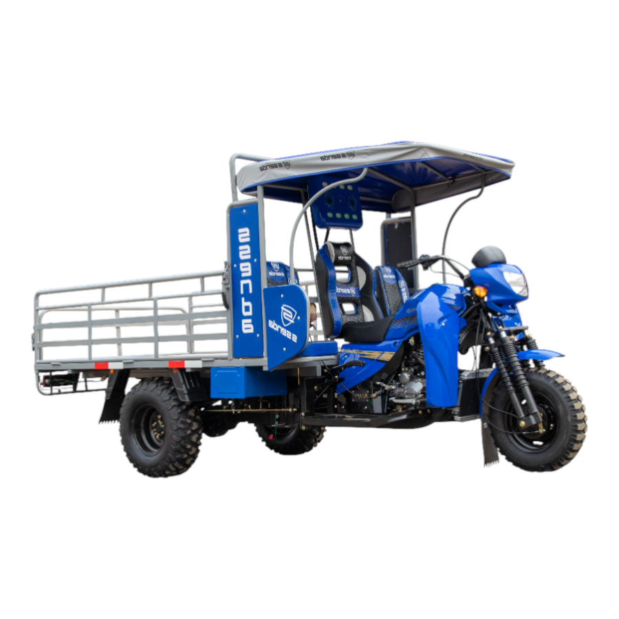 SS 300 ZH 2A DAKAR - Imagen 2