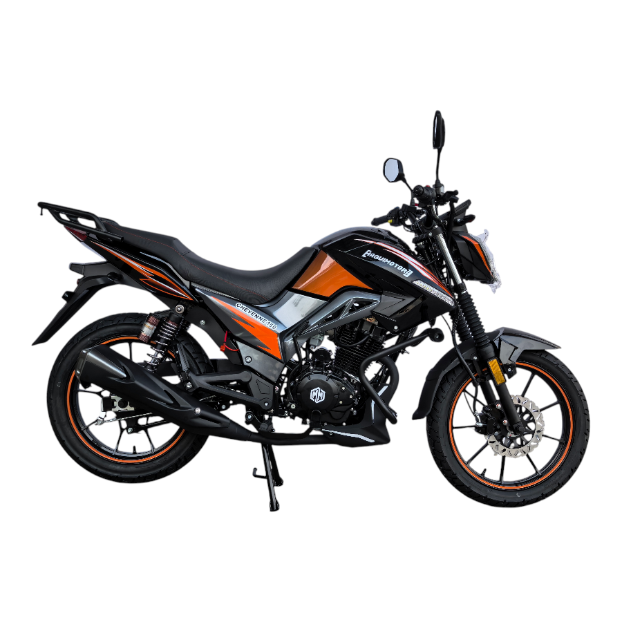 CHEYENNNE 150 - Imagen 7