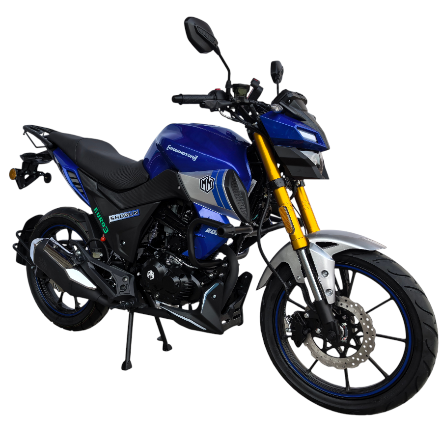 SHOGUN 200 - Imagen 2