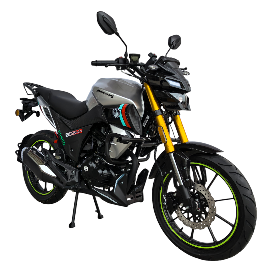 SHOGUN 200 - Imagen 4