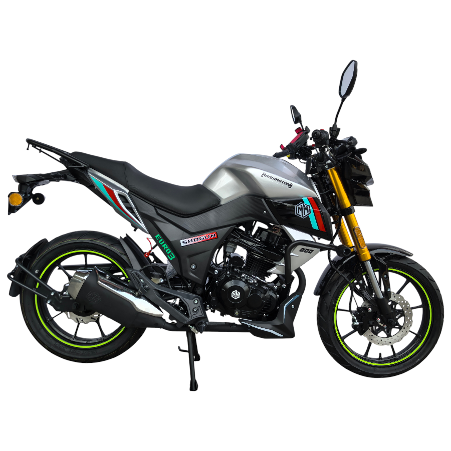 SHOGUN 200 - Imagen 5