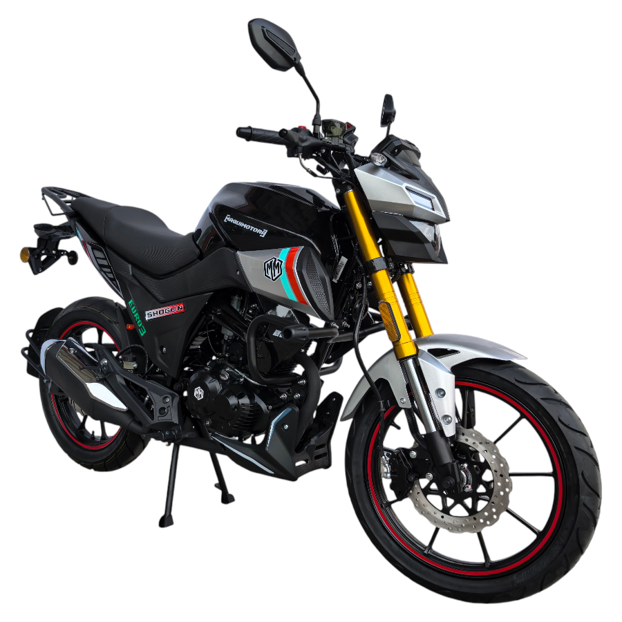 SHOGUN 200 - Imagen 6