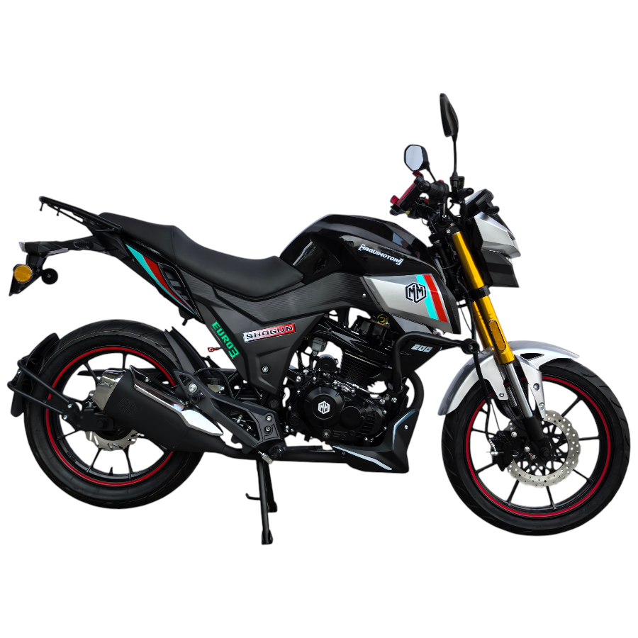 SHOGUN 200 - Imagen 7