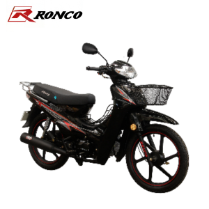 RC 110 B