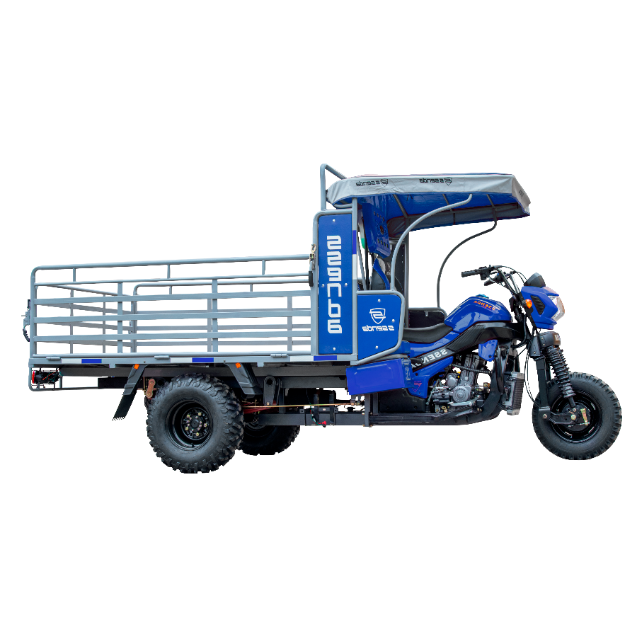 SS 300 ZH 2A DAKAR - Imagen 3