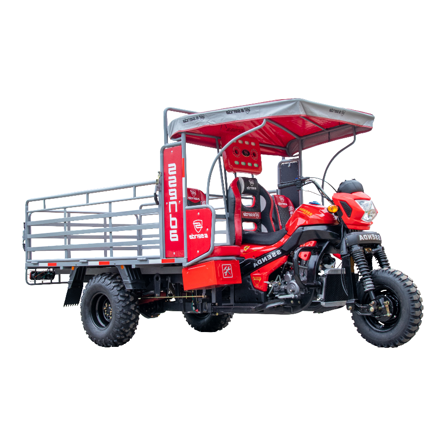 SS 300 ZH 2A DAKAR - Imagen 4