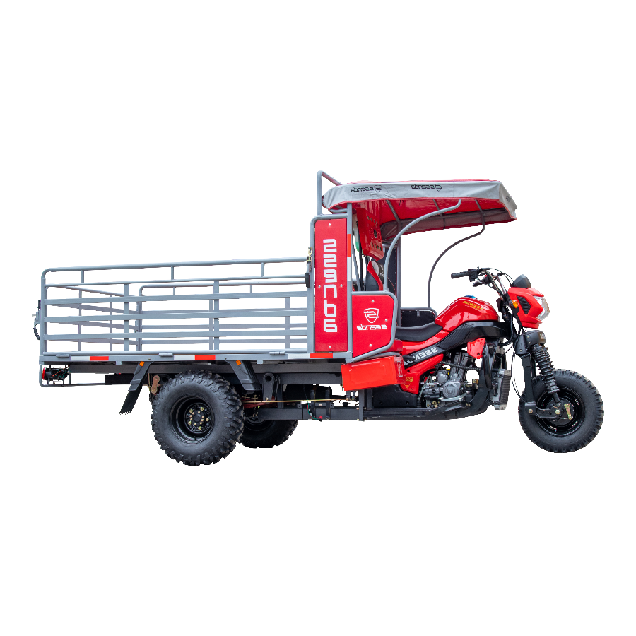 SS 300 ZH 2A DAKAR - Imagen 5